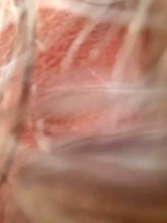 ALEJA__07