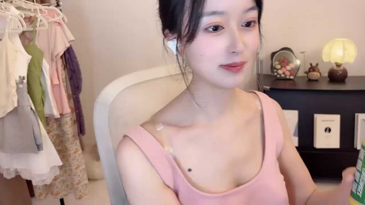 Onechestnut cam recording