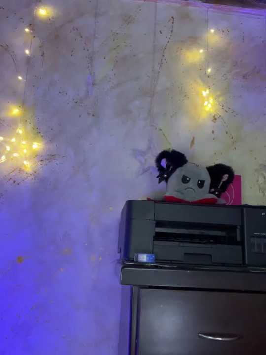 SophiaWeestt99 cam recording