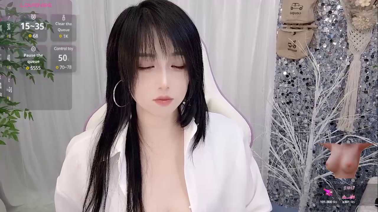 Vaness-a cam recording
